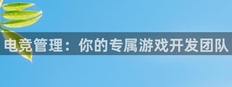完美电竞竞技平台