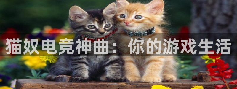 完美电竞世界平台下载