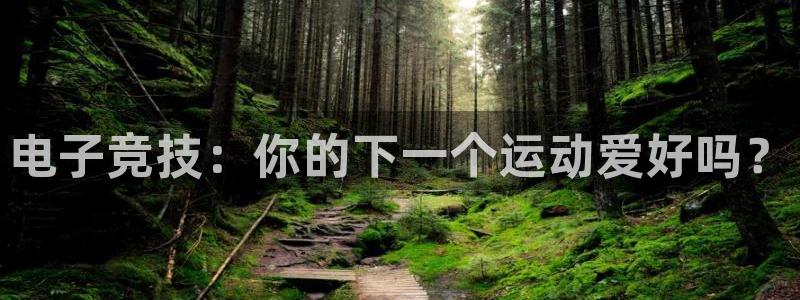 完美电竞大会员