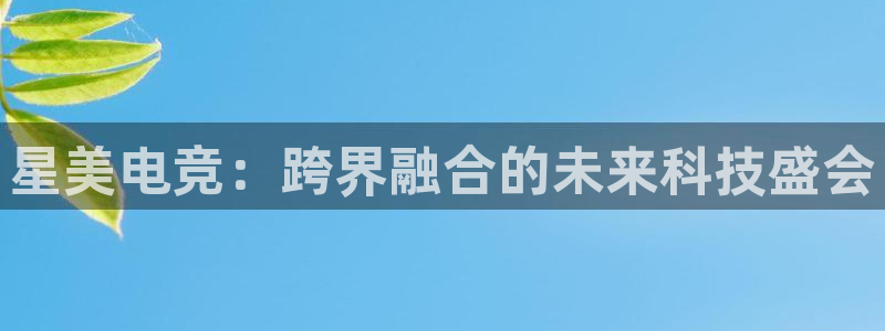 cs完美电竞平台