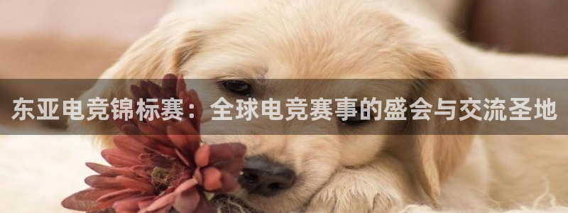完美电竞开箱