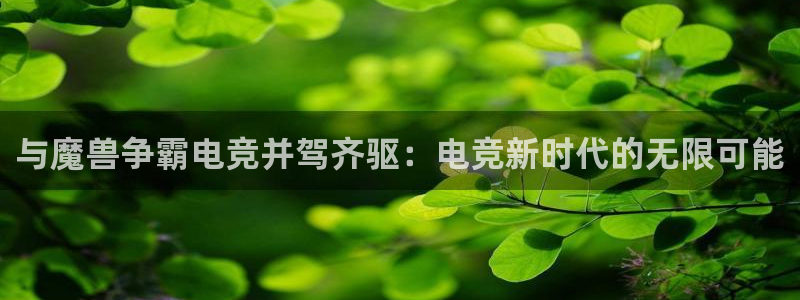 完美电竞联赛