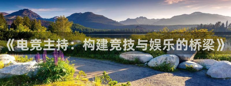 完美电竞直播：《电竞主持：构建竞技与娱乐的桥梁》