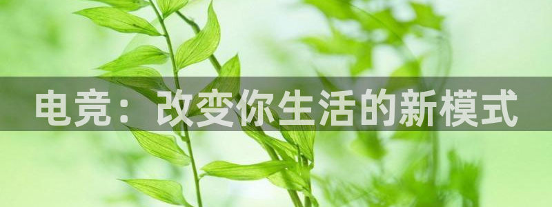完美电竞世界平台