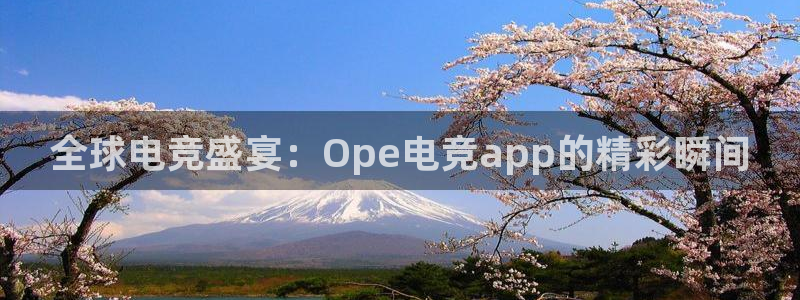 完美电竞世界：全球电竞盛宴：Ope电竞app的精彩瞬间