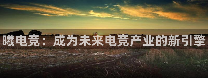 完美电竞大会员：曦电竞：成为未来电竞产业的新引擎