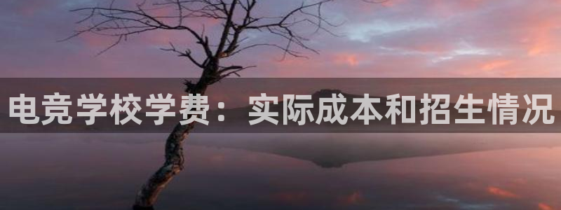 完美电竞世界平台下载：电竞学校学费：实际成本和招生情况