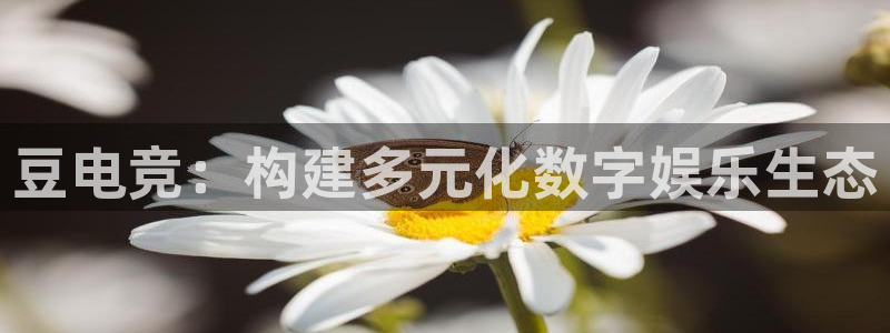 完美电竞账号