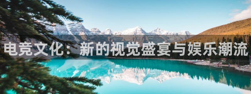 完美电竞查询：电竞文化：新的视觉盛宴与娱乐潮流