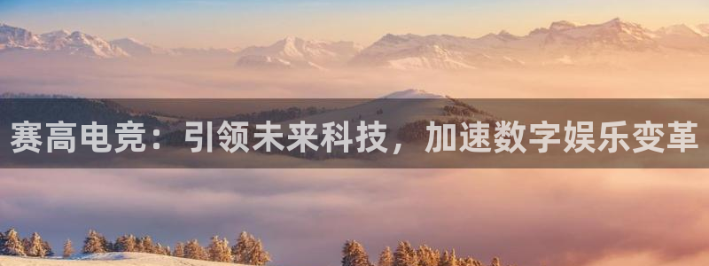 完美电竞平台下载：赛高电竞：引领未来科技，加速数字娱乐变革