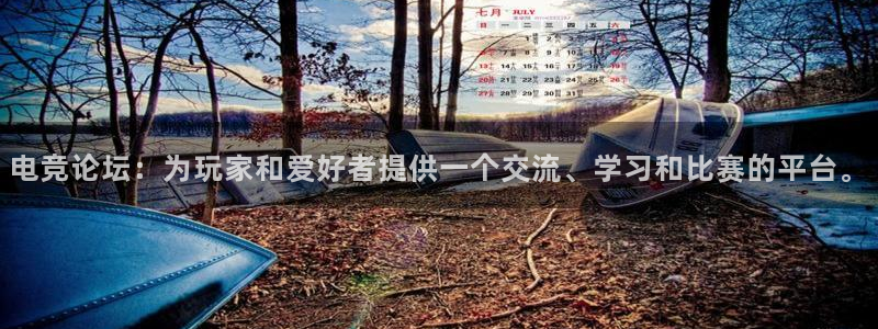 完美电竞平台排行榜：电竞论坛：为玩家和爱好者提供一个交流、学习和比赛的平台。