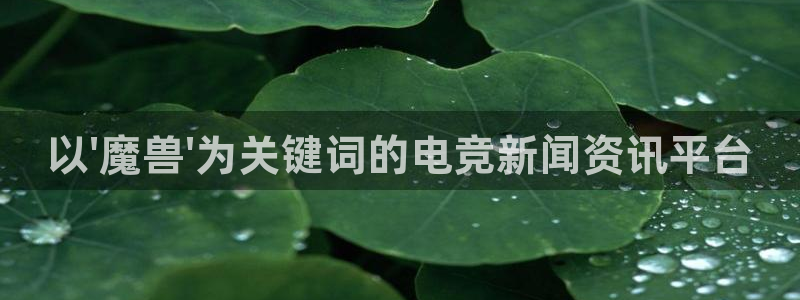 完美电竞竞技平台：以\'魔兽\'为关键词的电竞新闻资讯平台