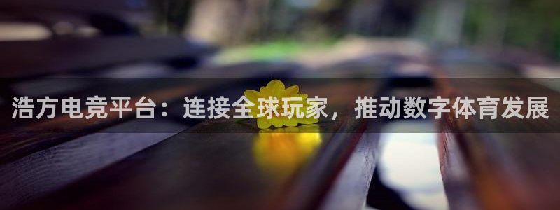 完美电竞账号：浩方电竞平台：连接全球玩家，推动数字体育发展